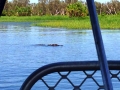 IMG_2945.jpeg