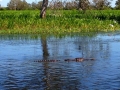 IMG_2949.jpeg