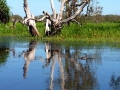 IMG_2954.jpeg