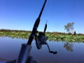 IMG_2962.jpeg