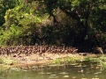IMG_2969.jpeg