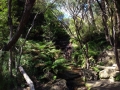 IMG_1424.jpeg