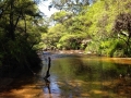 IMG_1437.jpeg