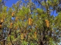 IMG_1443.jpeg