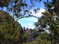 IMG_1446.jpeg