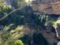 IMG_1450.jpeg