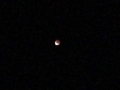 IMG_2131.jpeg