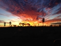 IMG_2374.jpeg