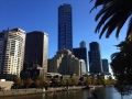 IMG_1524.jpeg