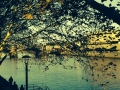 IMG_1530.jpeg