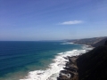 IMG_1603.jpeg