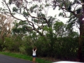 IMG_1676.jpeg