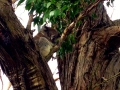 IMG_1679.jpeg