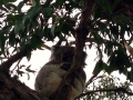 IMG_1689.jpeg