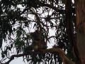 IMG_1709.jpeg