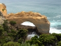 IMG_1785.jpeg