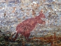 Aboriginal_Art_3.JPG