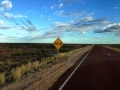 IMG_2007.jpeg