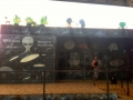 IMG_2478.jpeg